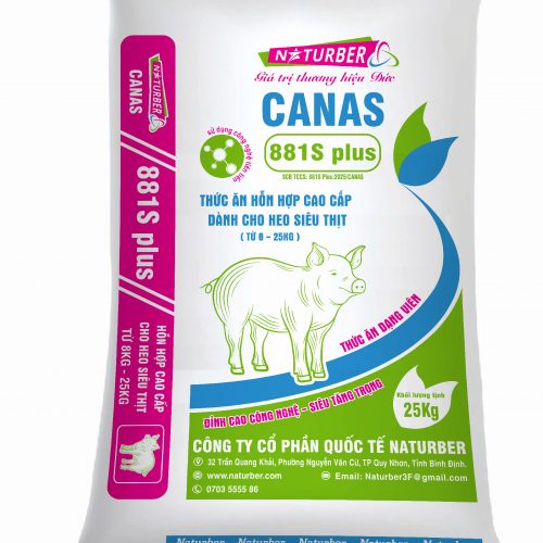 Thức ăn hỗn hợp cao cấp dành cho heo siêu thịt 881s plus