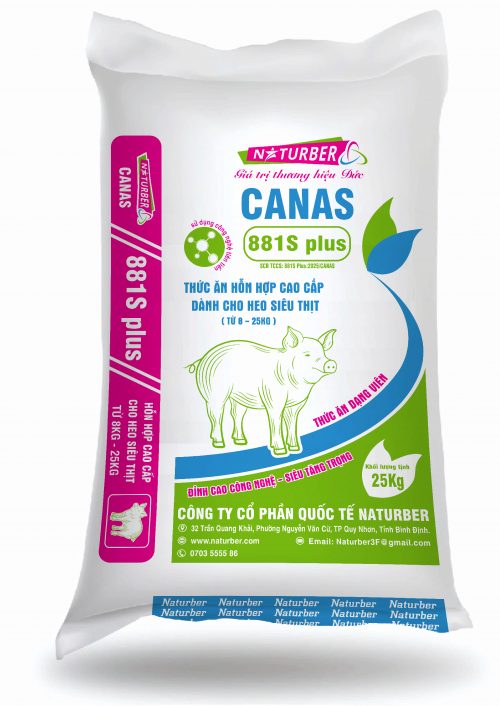 Thức ăn hỗn hợp cao cấp dành cho heo siêu thịt 881s plus